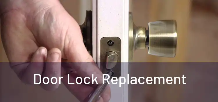 Door Lock Replacement 